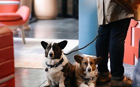 Hotel Indigo Barcelona Plaza Espana By Ihg